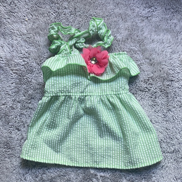Green striped dog sundress size small - Picture 1 of 2